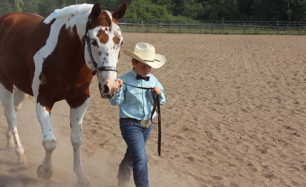 Saddle Club show